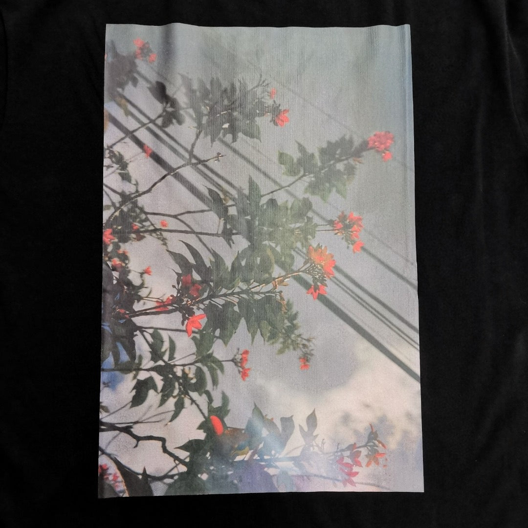 Camisetas blancas y negras