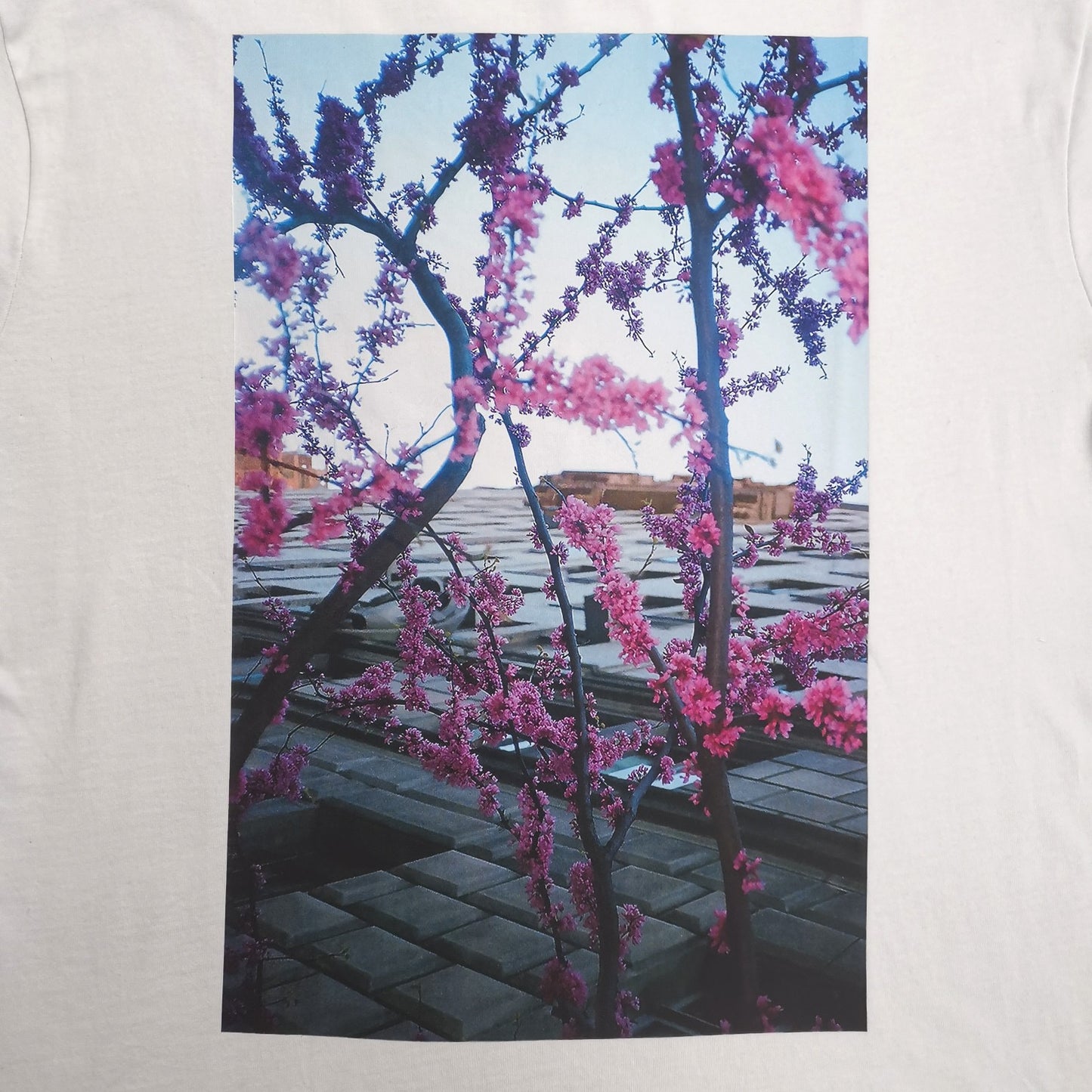Camisetas blancas y negras