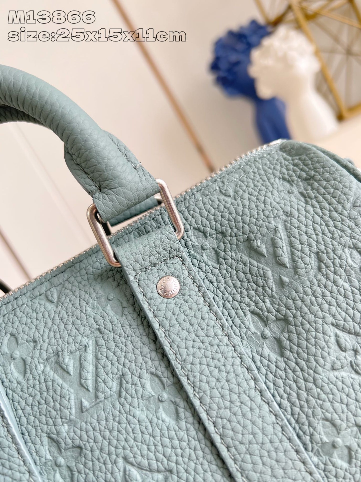 Light Green Bag