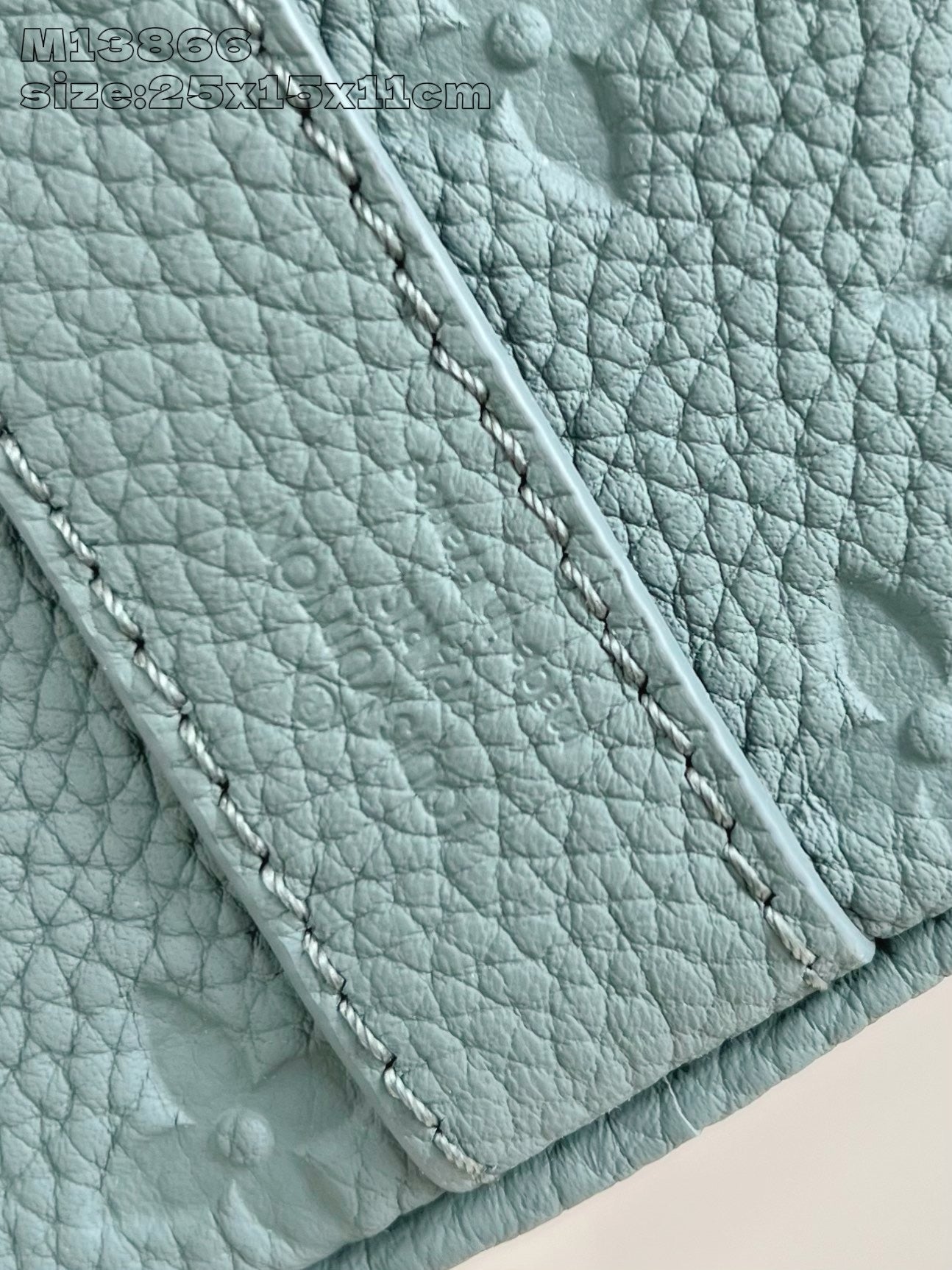 Light Green Bag