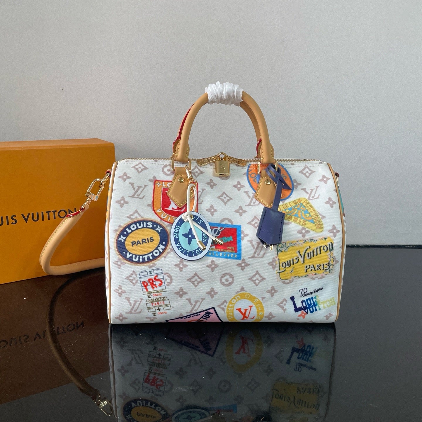 Multi-Colors Bag