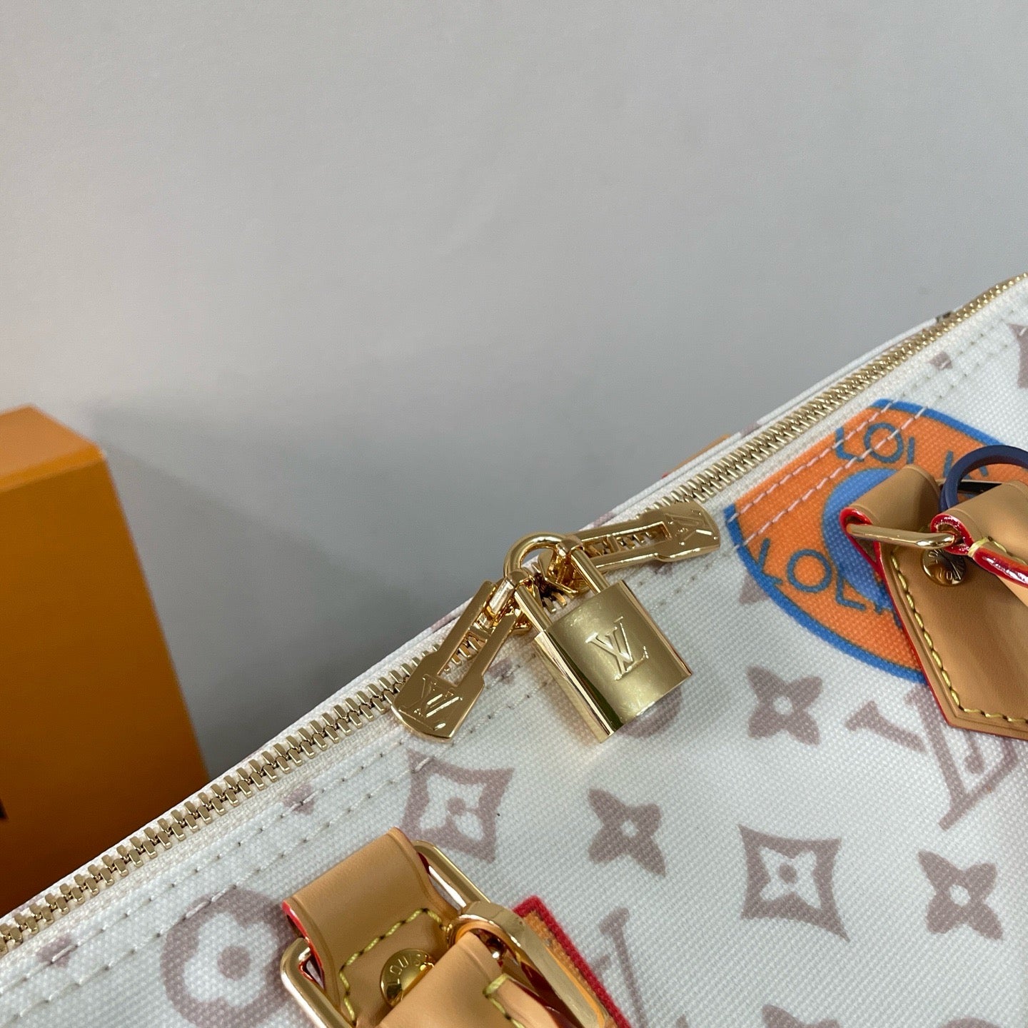 Multi-Colors Bag