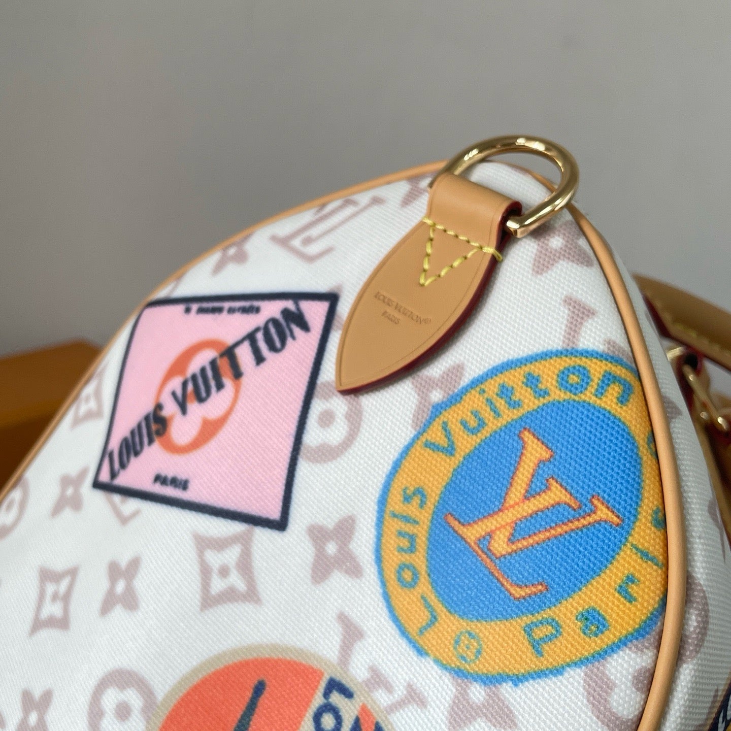Multi-Colors Bag