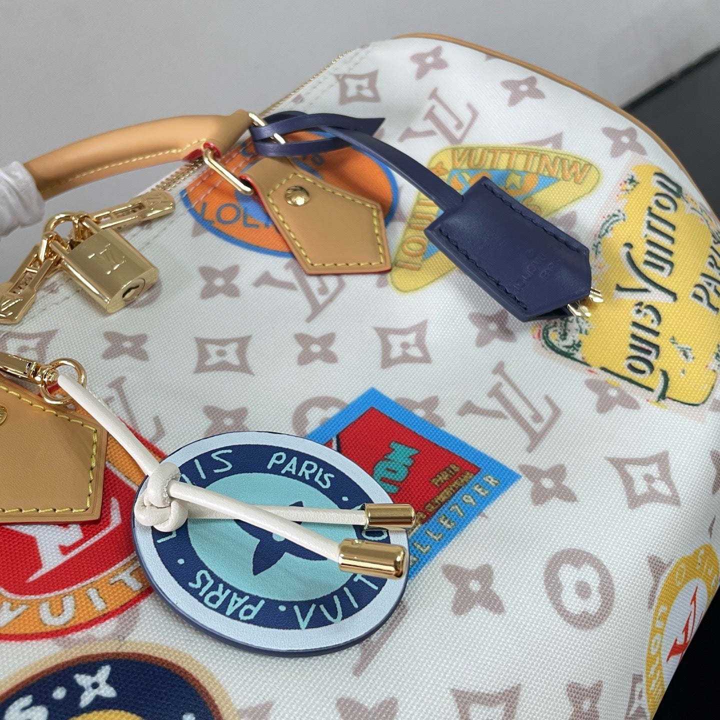 Multi-Colors Bag