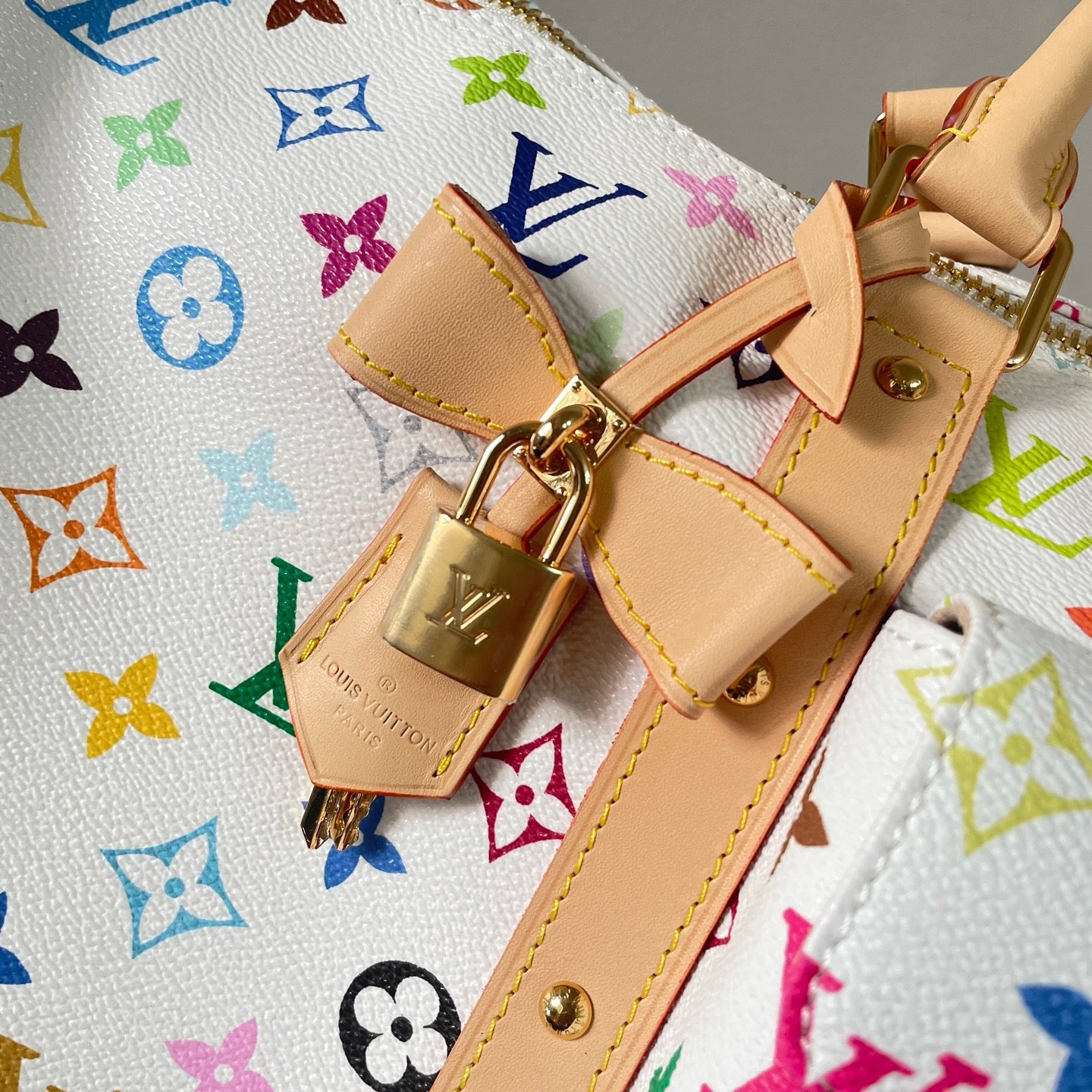 Multi-Colors Bag