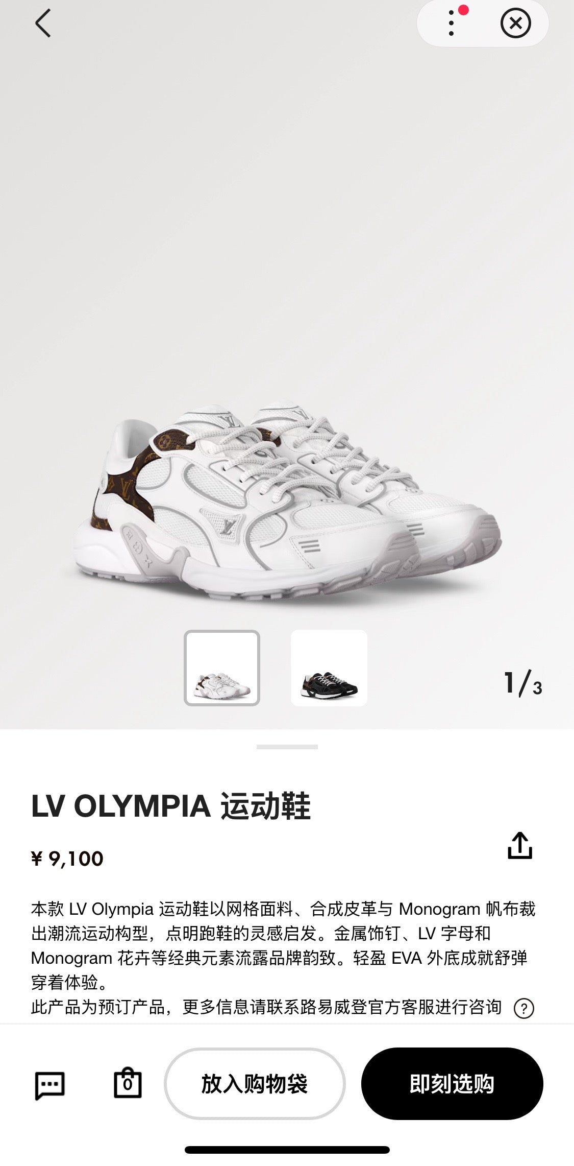 Multi-Colors Shoes