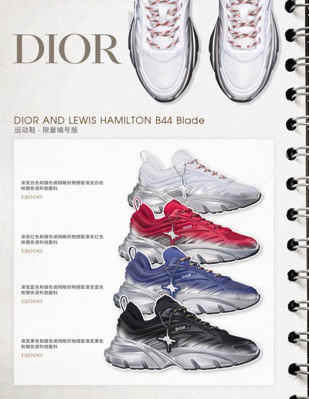 Multi-Colors Shoes