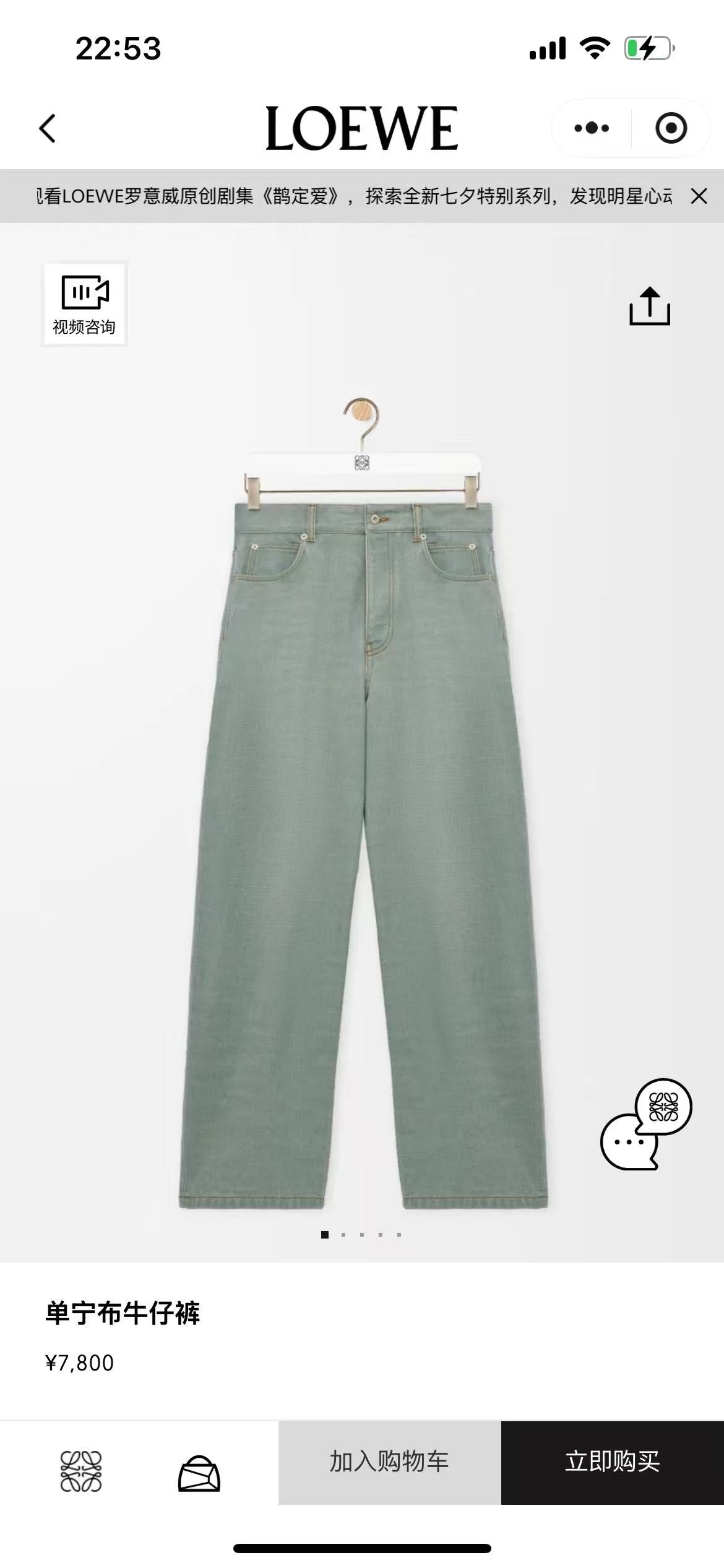Light Green Pant