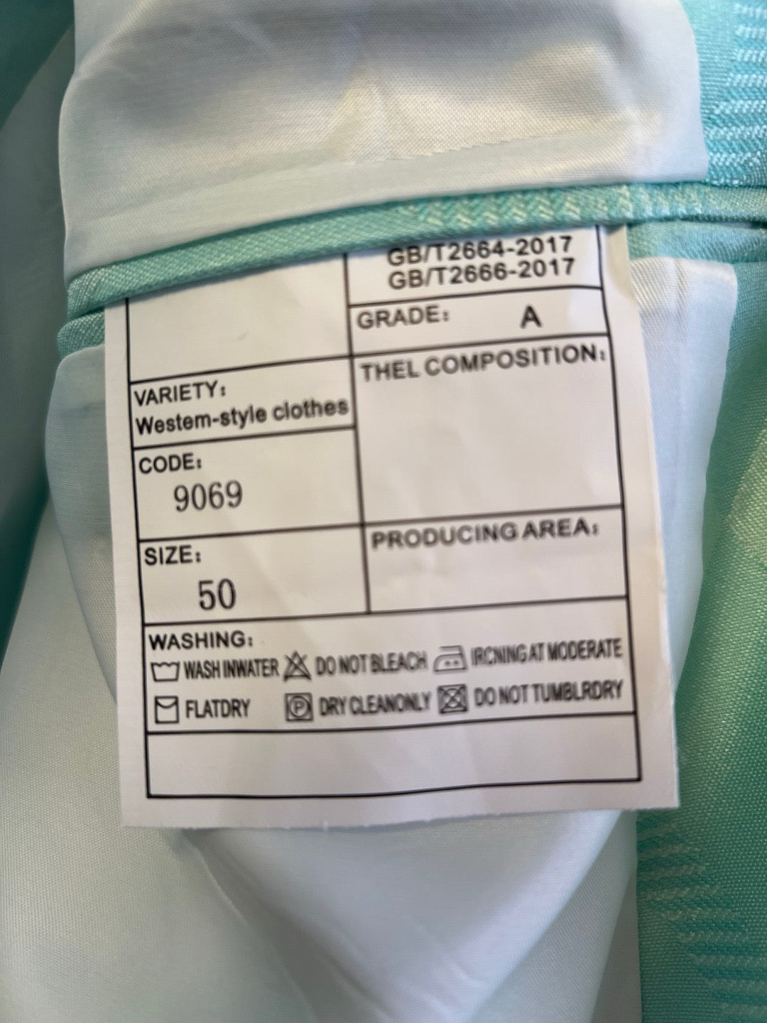 Light Green Jacket and Pant Suit