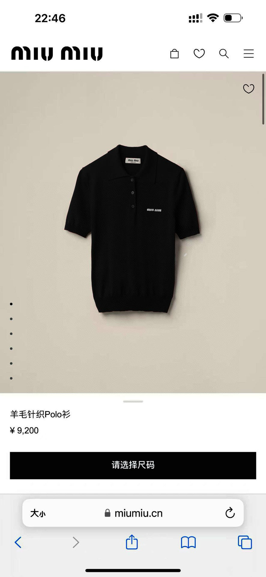 Schwarzes Polo