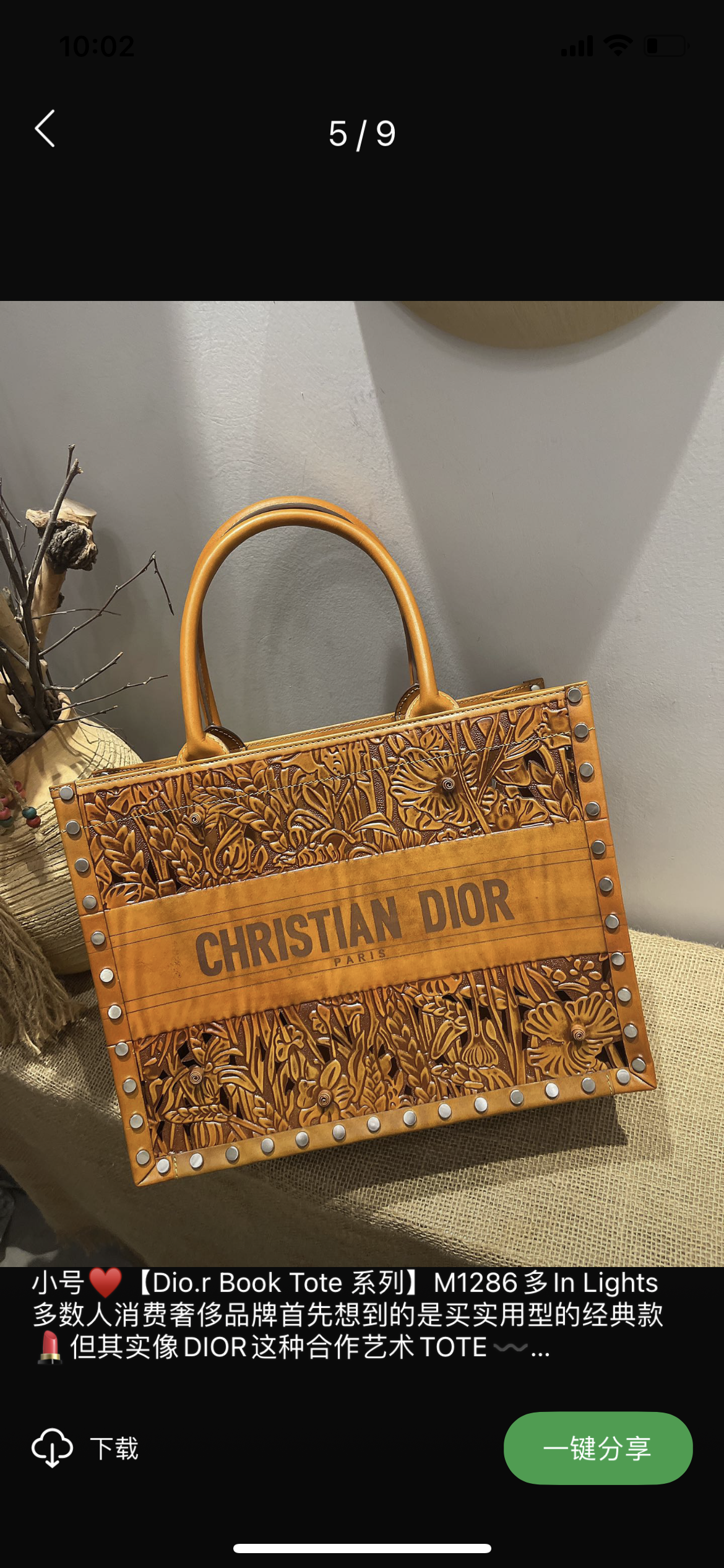 Multicolor Bags