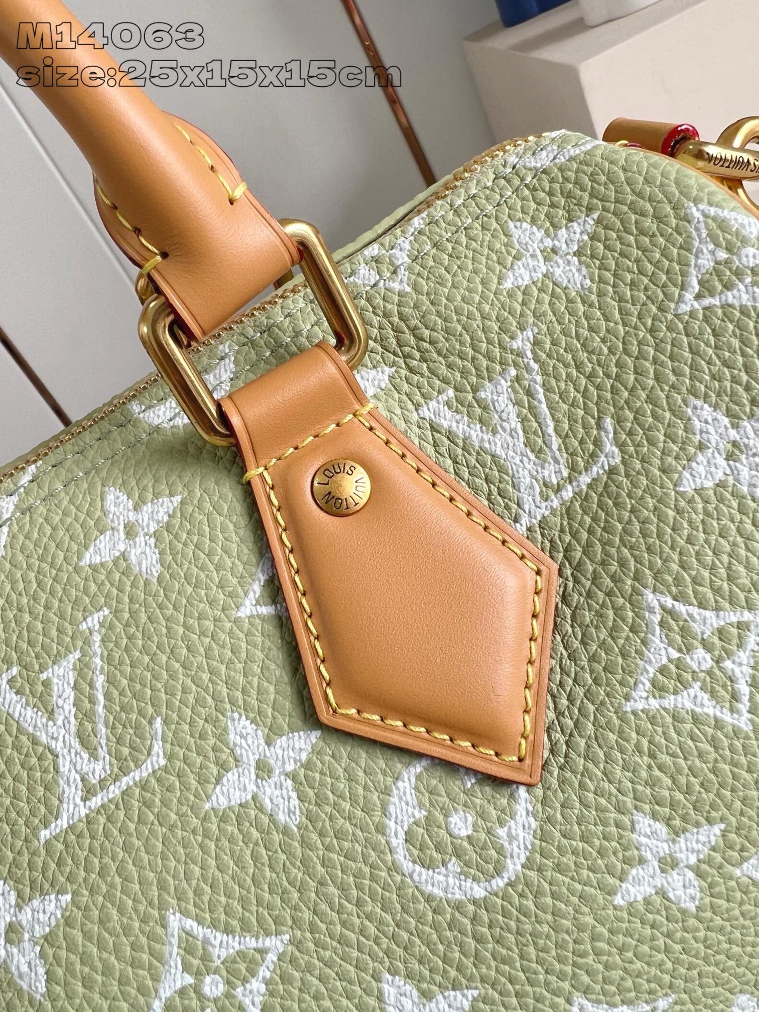 Light Green Bag