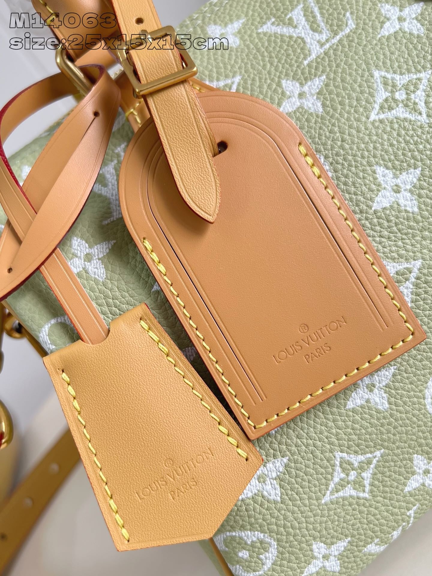 Light Green Bag
