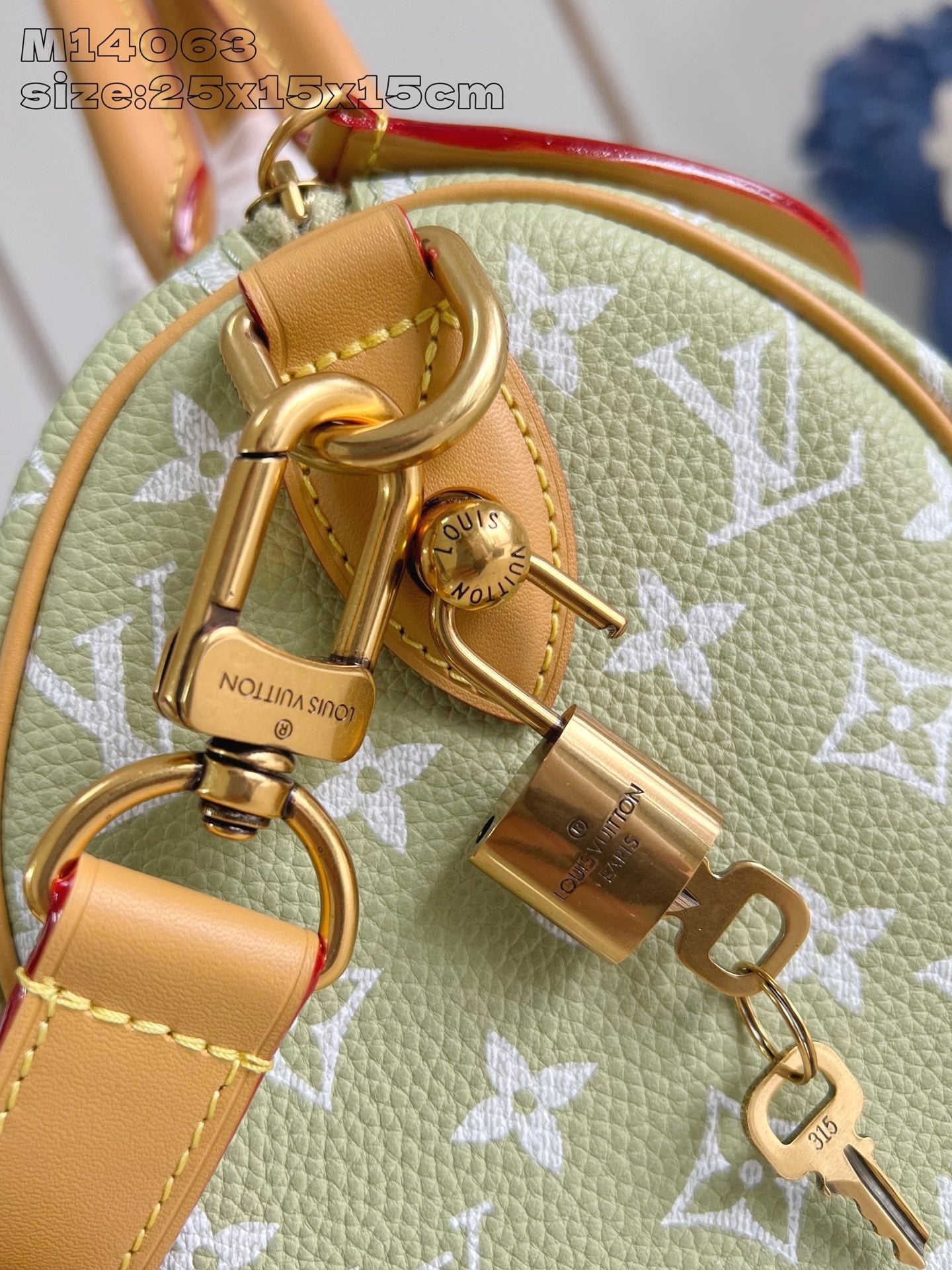Light Green Bag