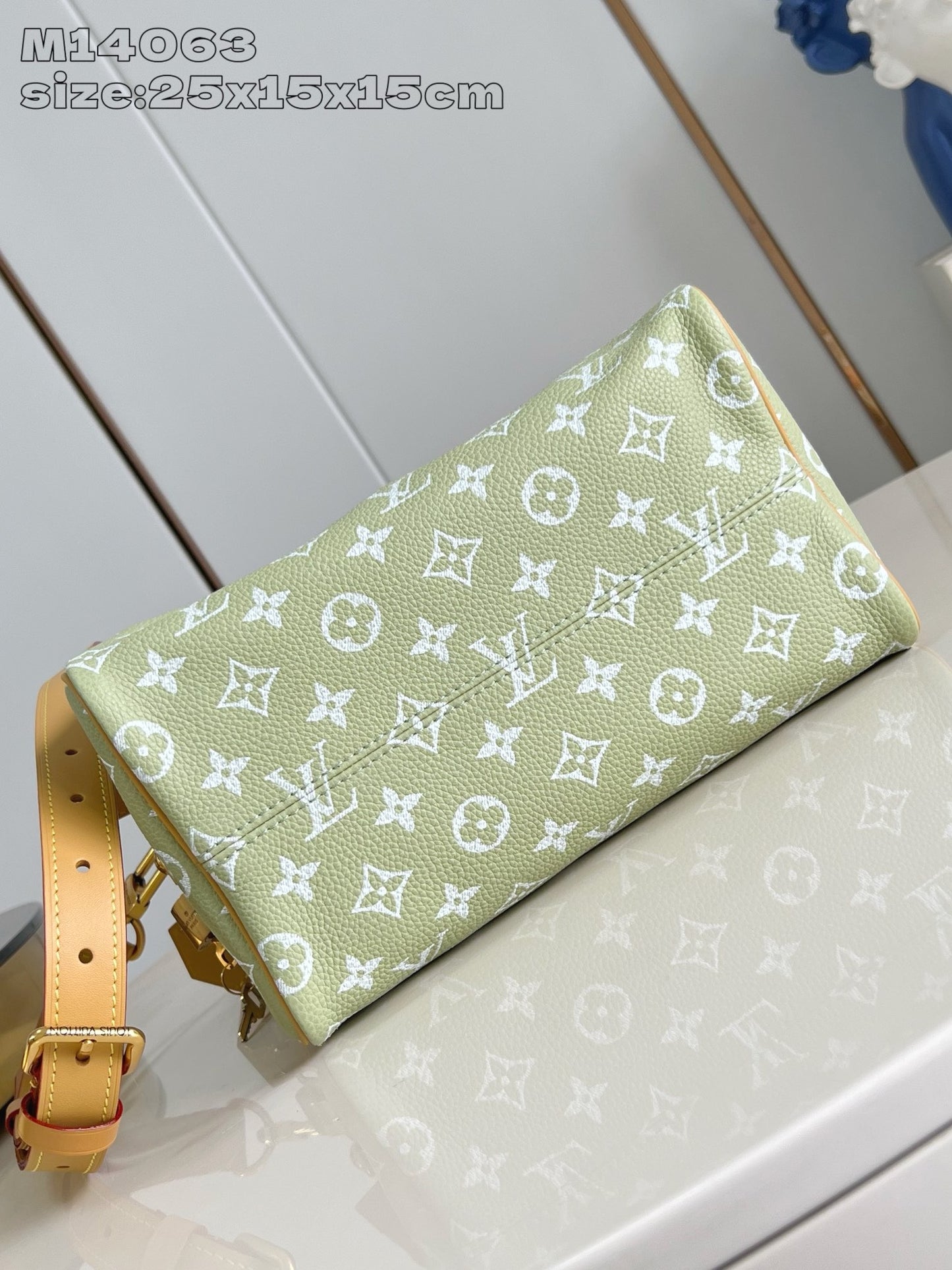Light Green Bag