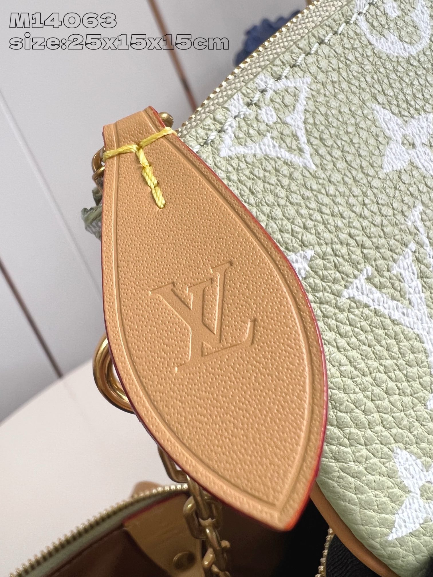 Light Green Bag