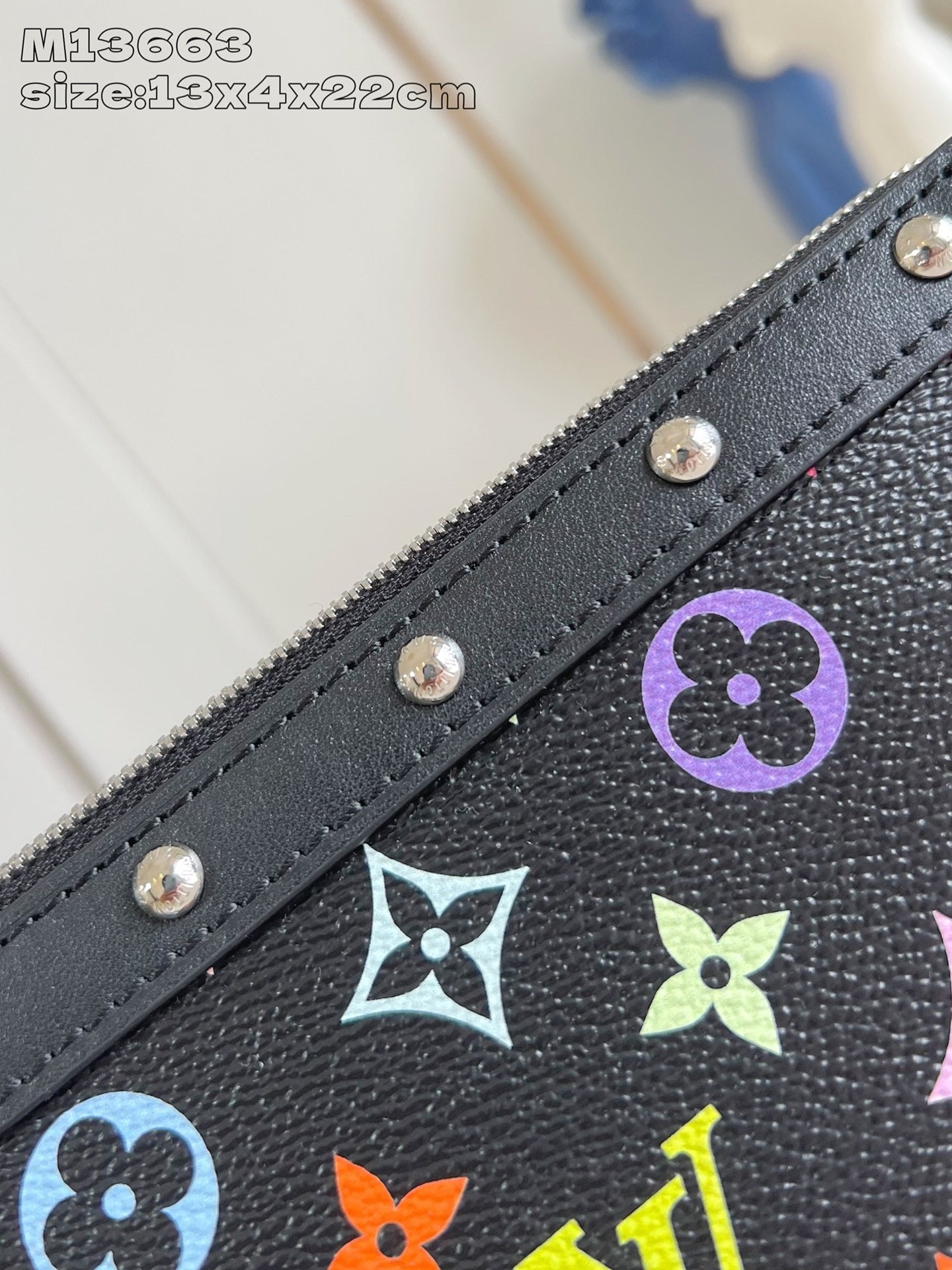Multi-Colors Bag