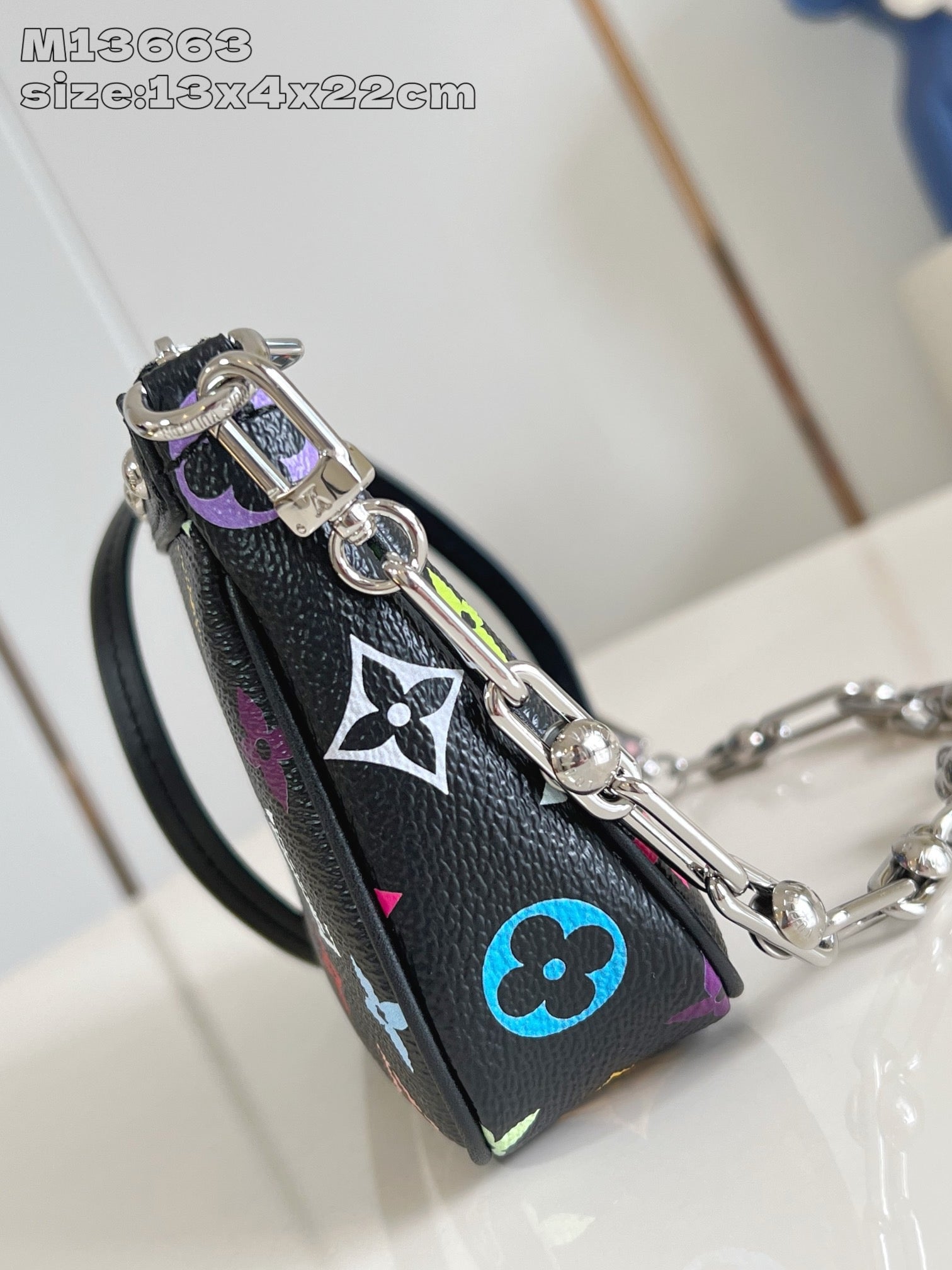 Multi-Colors Bag