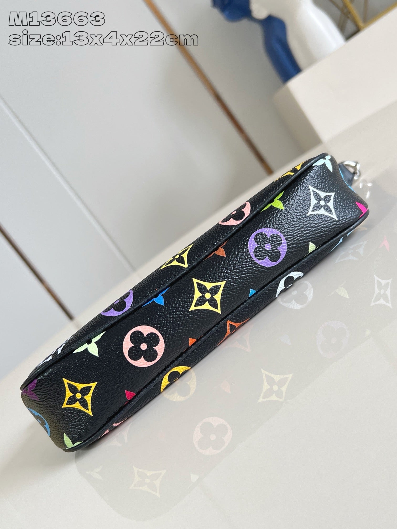 Multi-Colors Bag