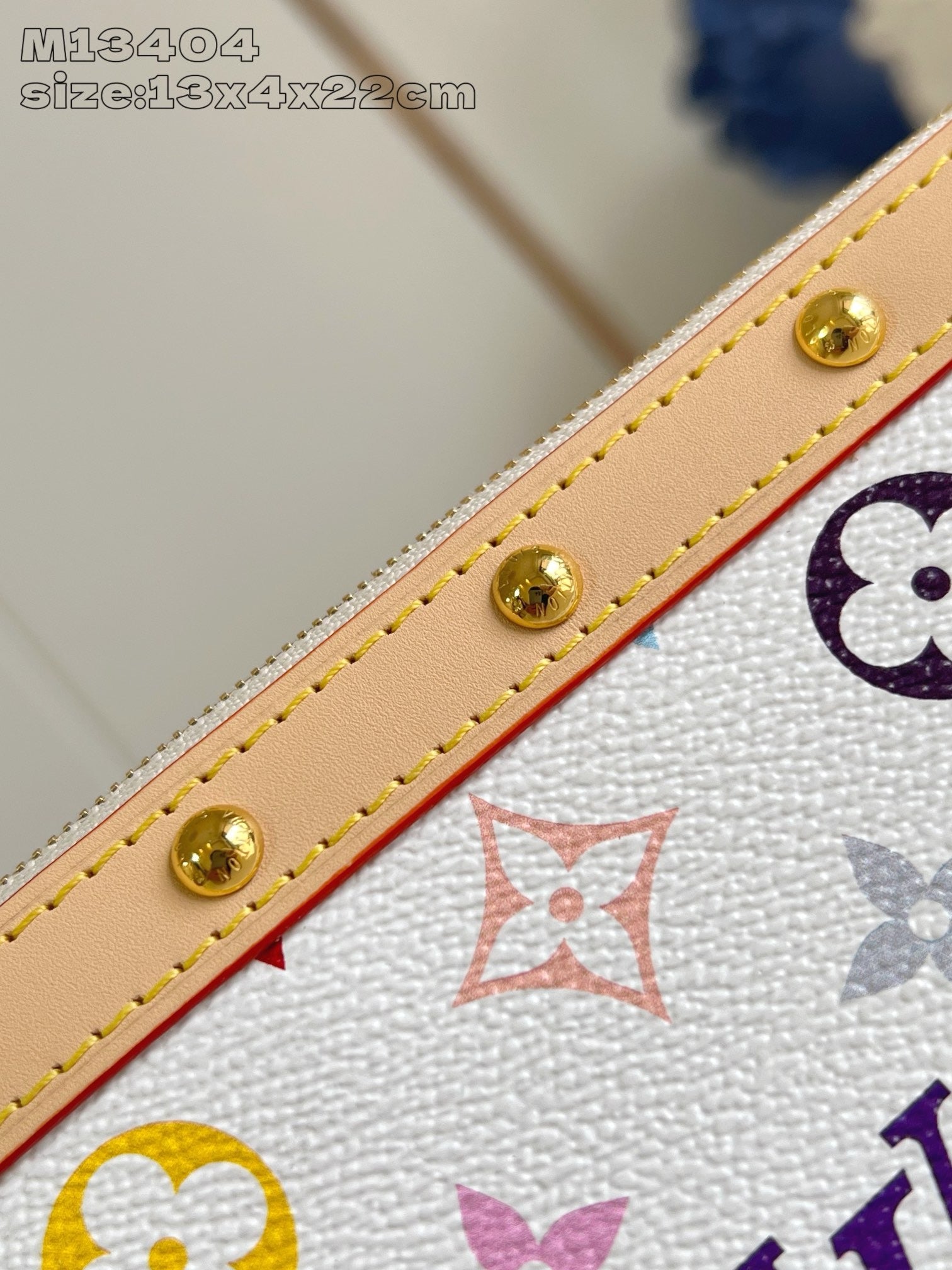 Multi-Colors Bag