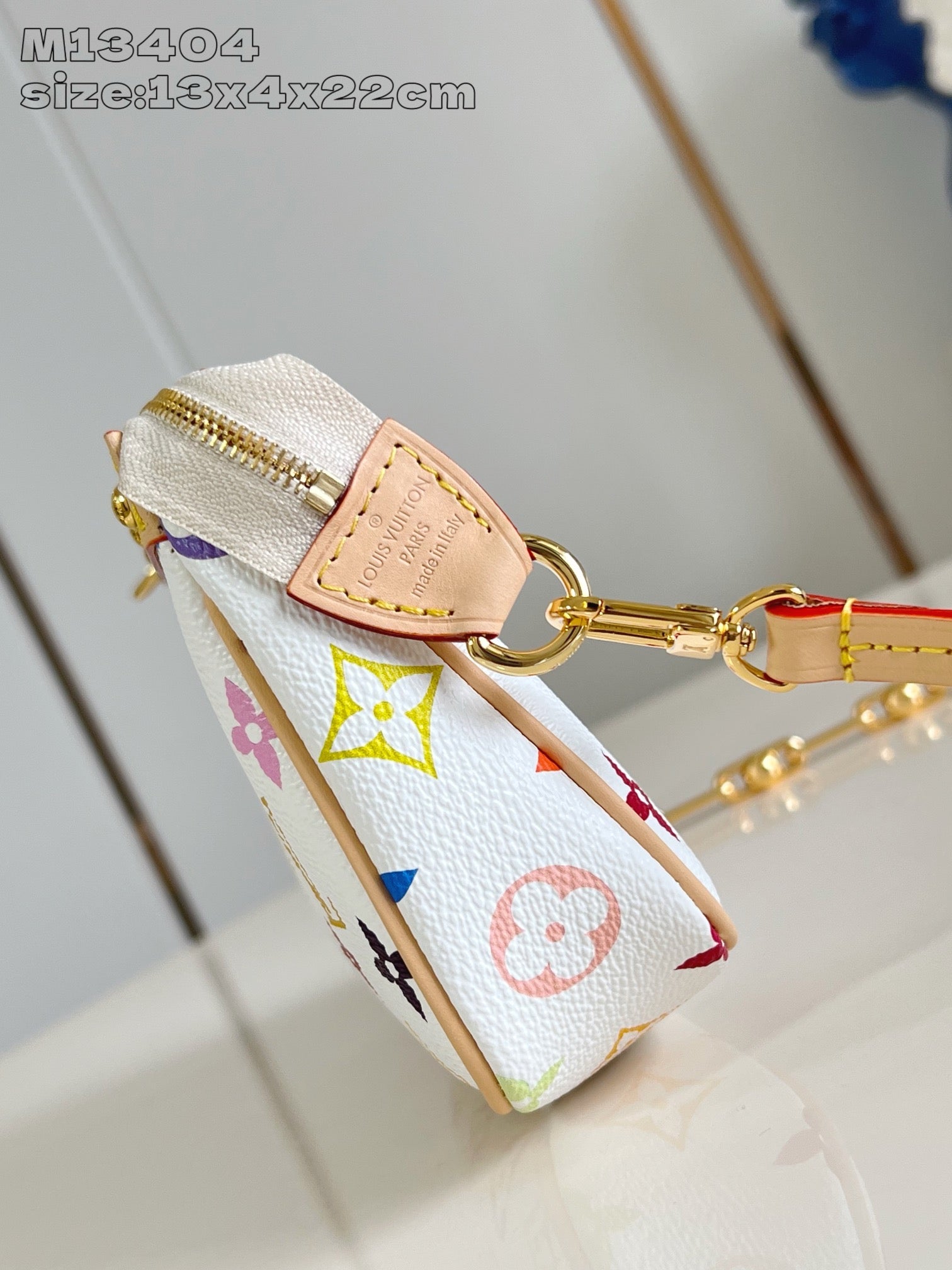 Multi-Colors Bag