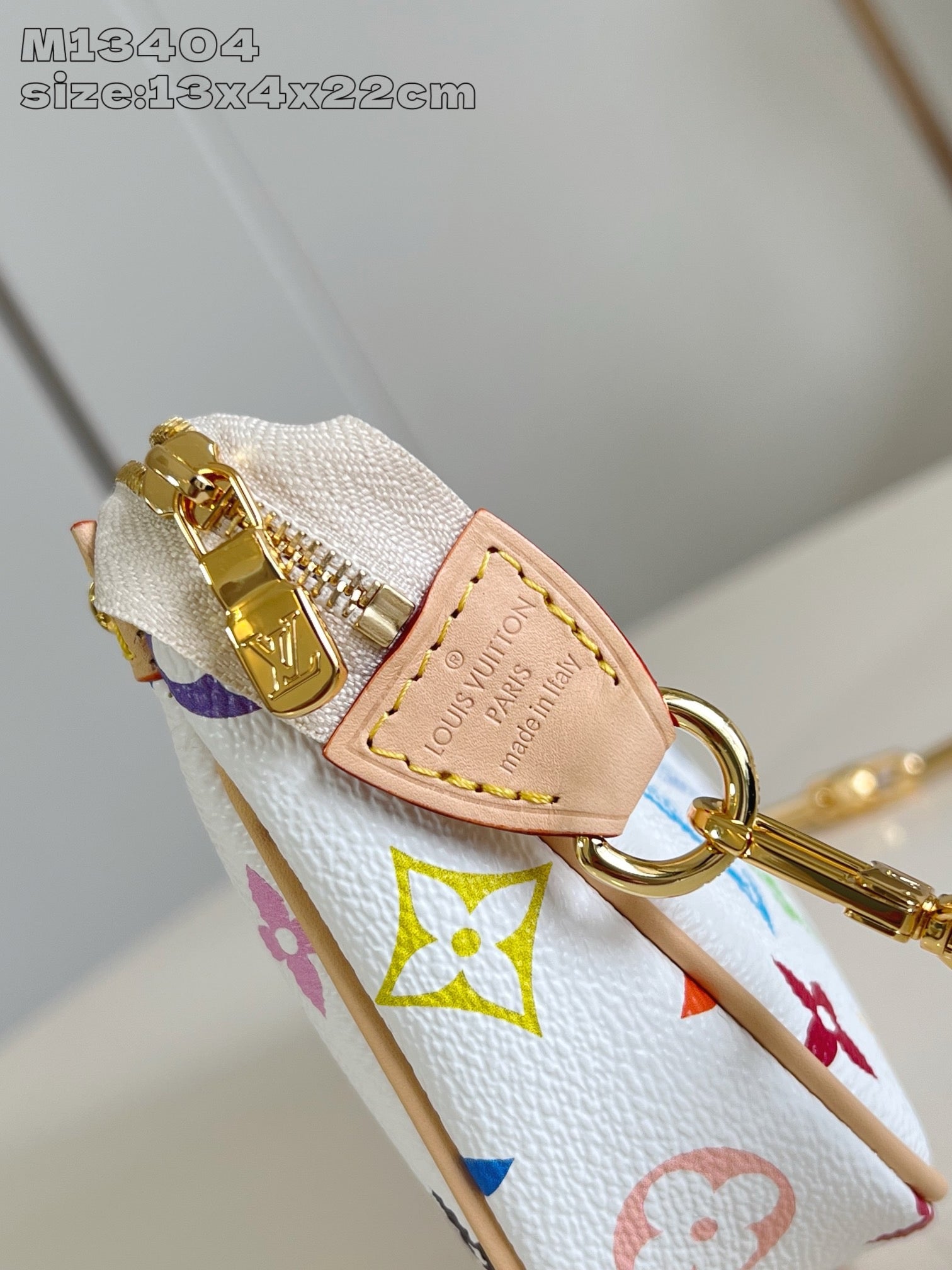 Multi-Colors Bag