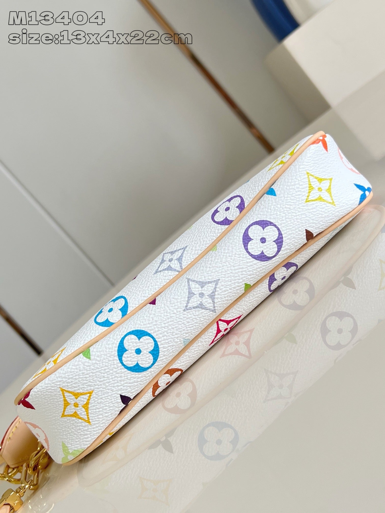 Multi-Colors Bag