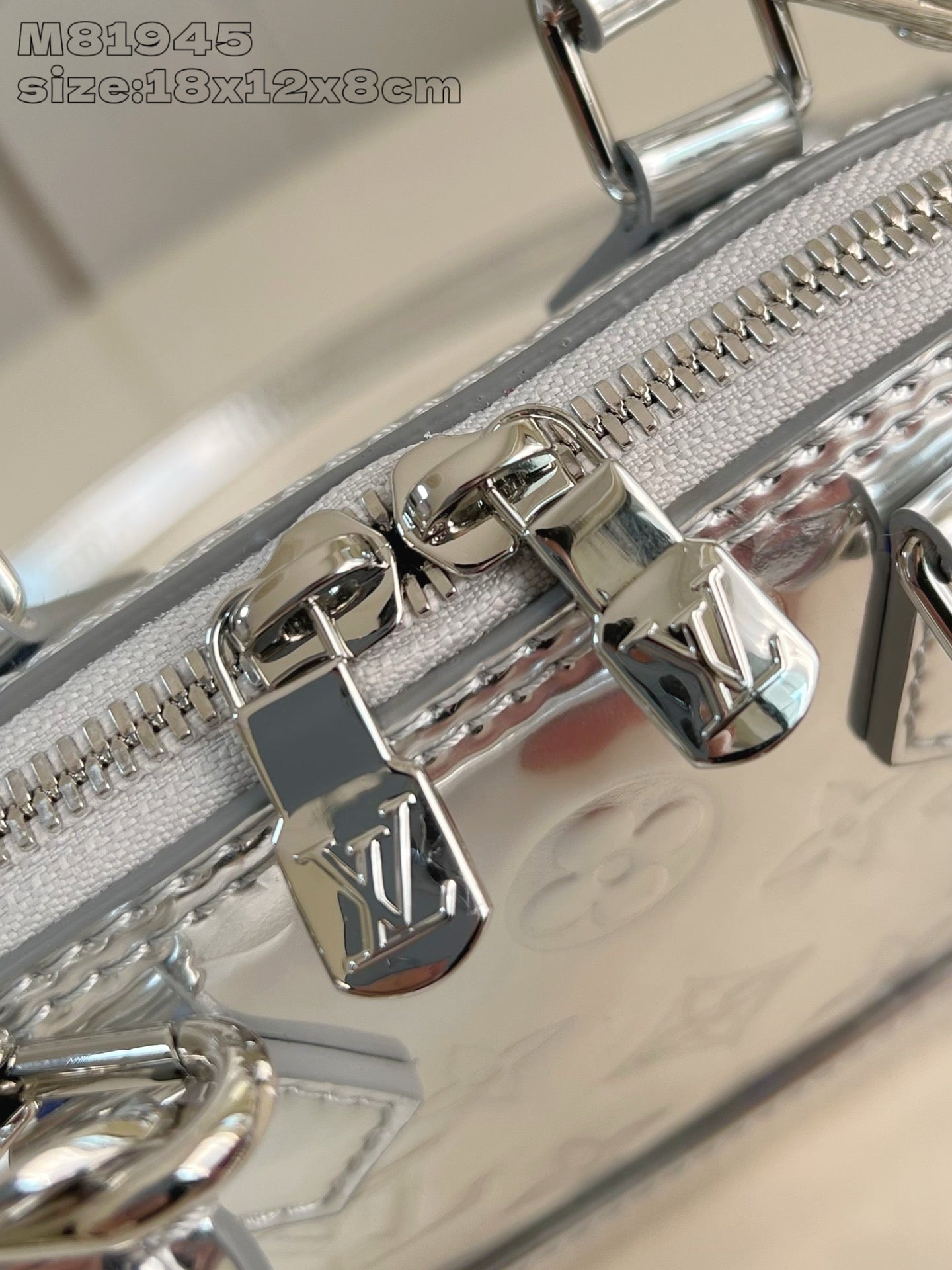Silver Bag
