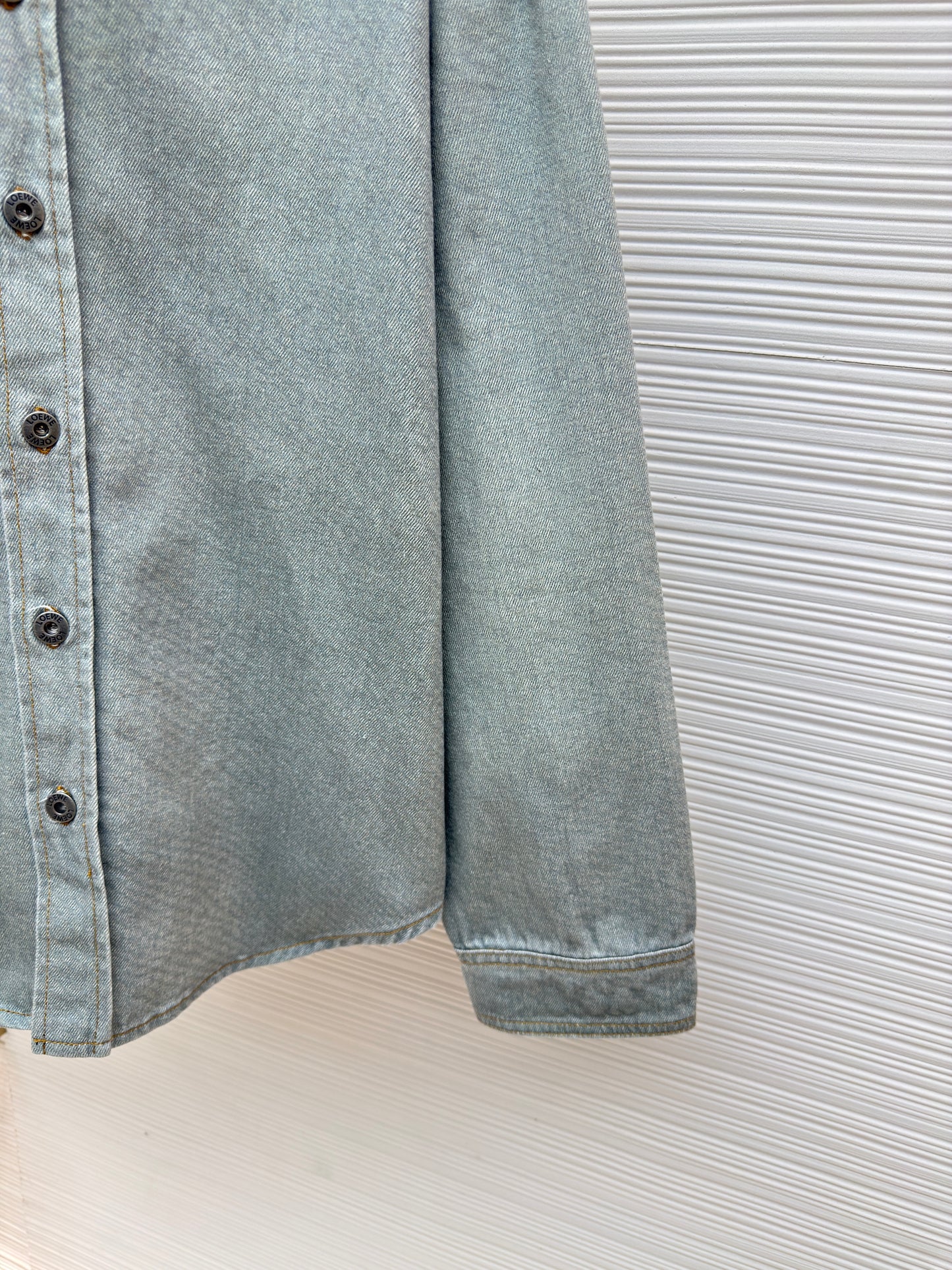 Light Green Jacket