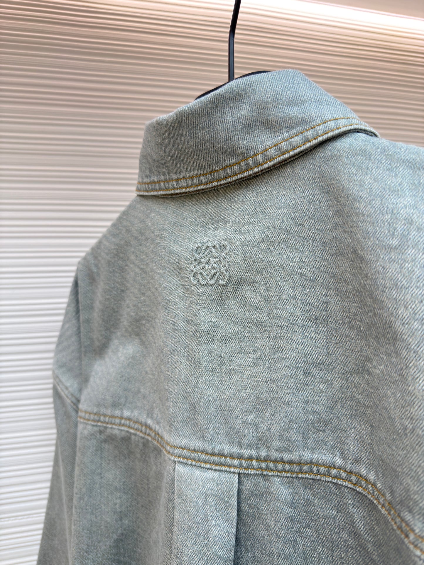 Light Green Jacket