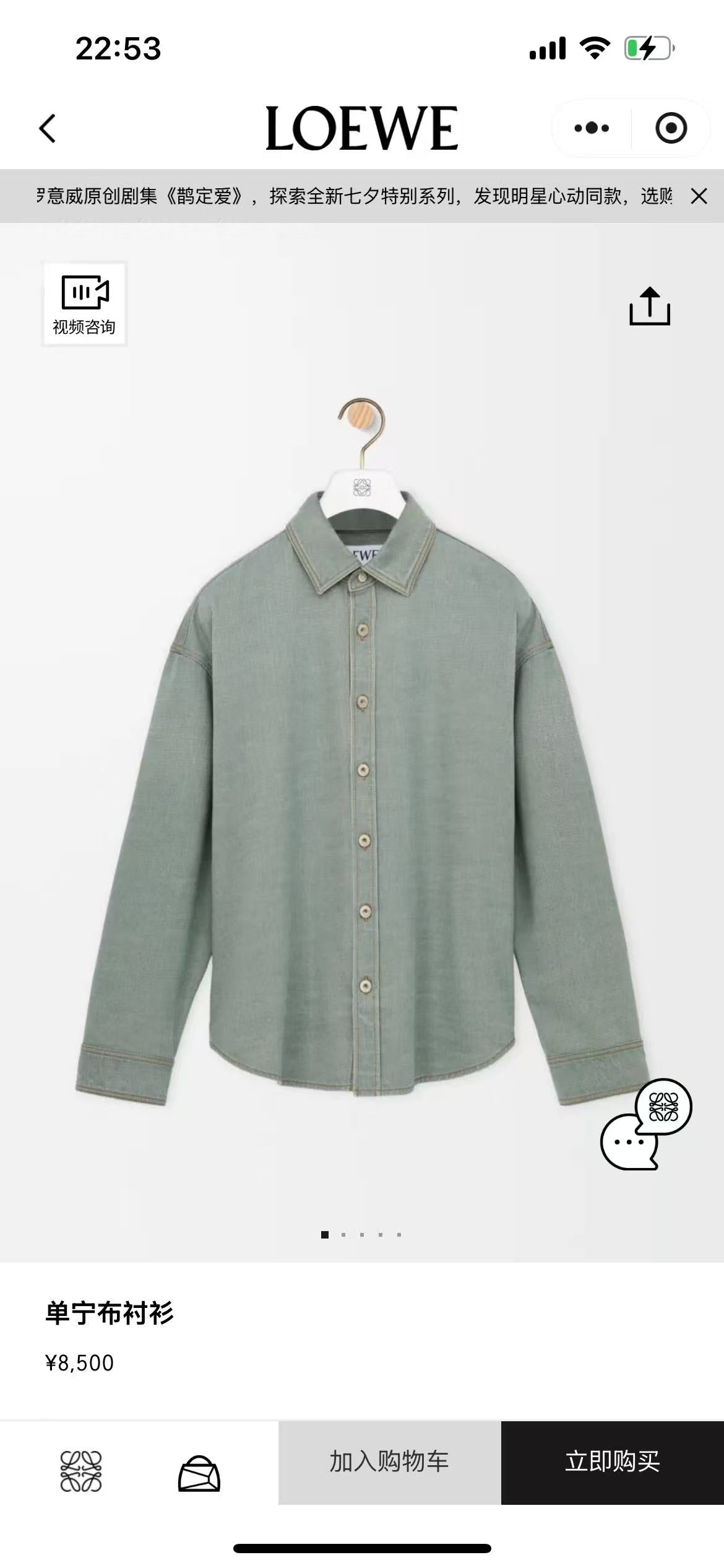 Light Green Jacket