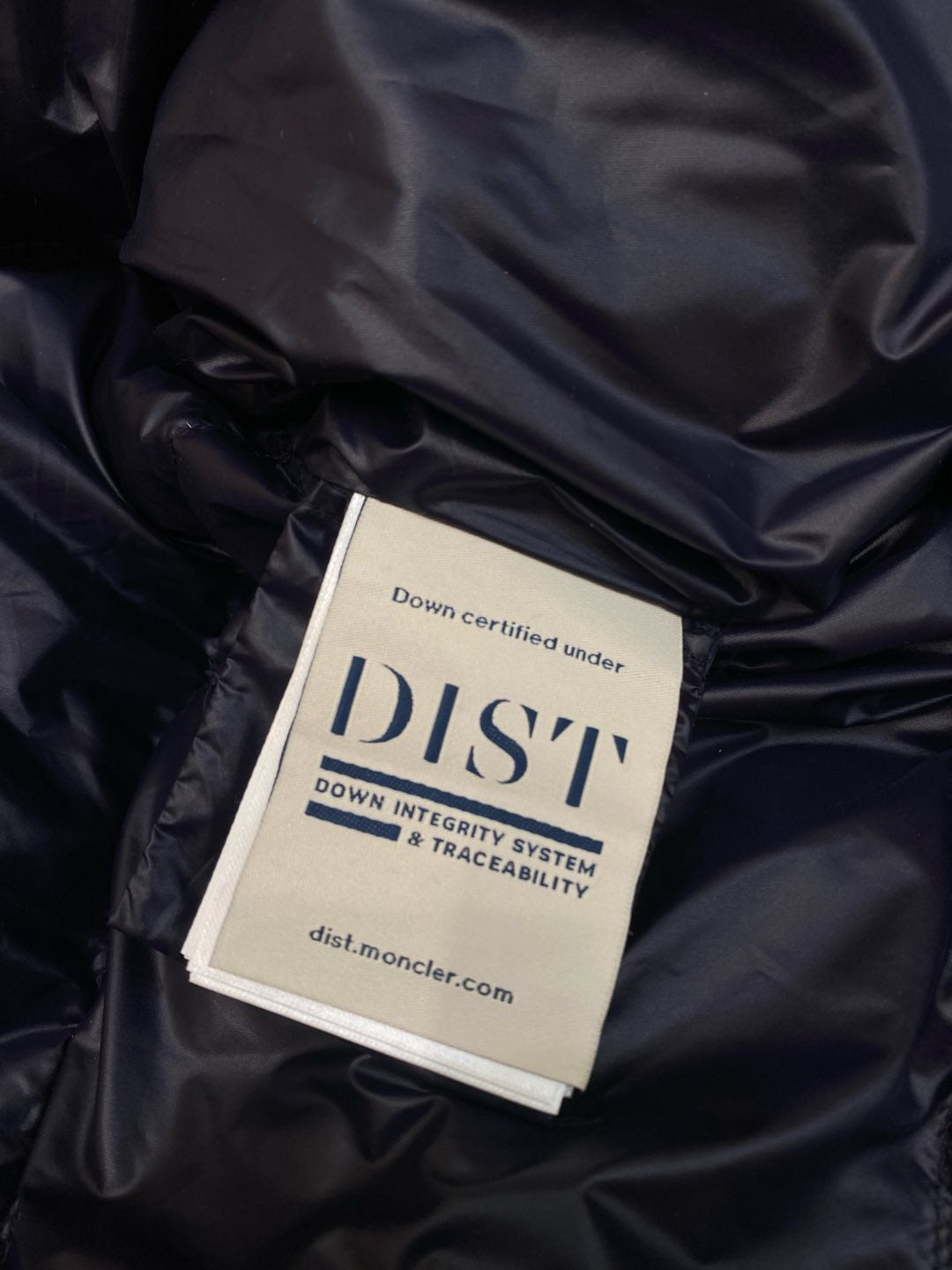 Black and Dark Blue Jacket