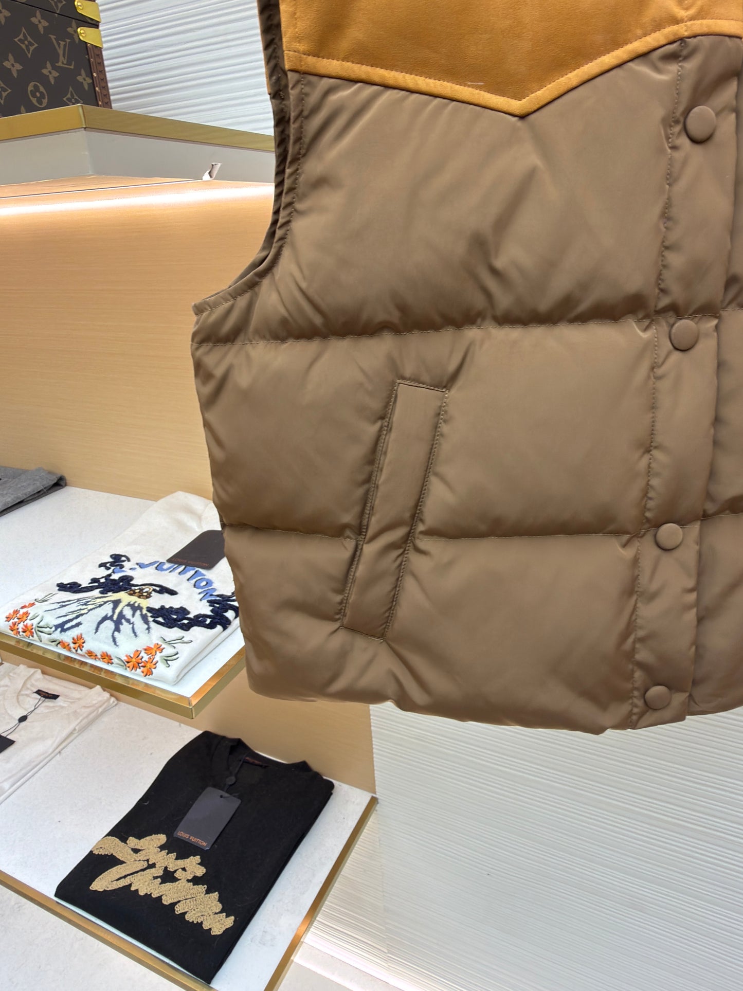 Brown and Beige Vest